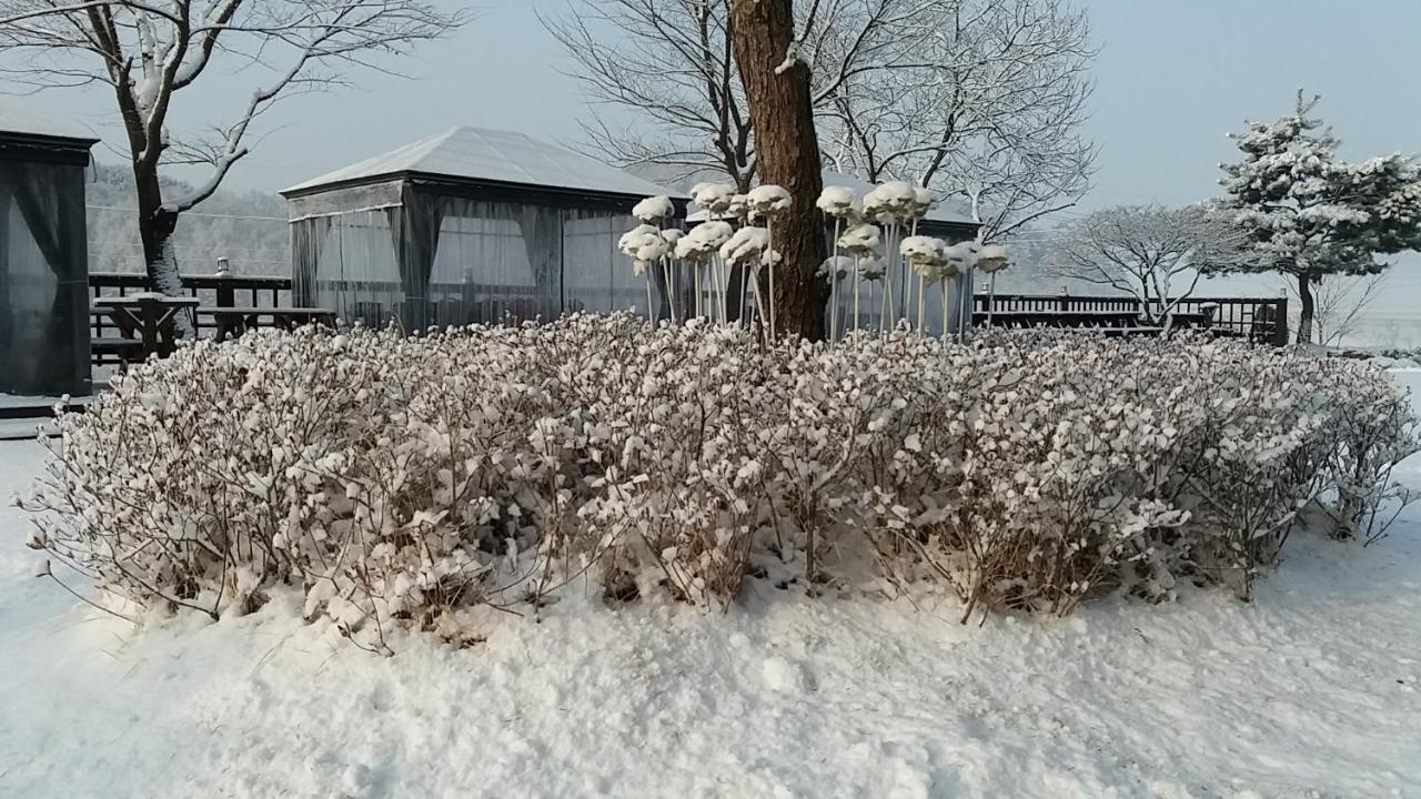 Forest Of Color Pension Хончхон Екстер'єр фото